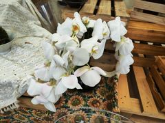 -中国天府农业博览园