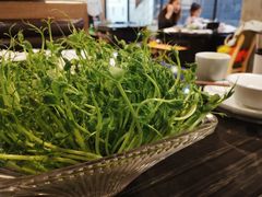 豌豆苗-东椰·海南椰子鸡火锅(朝阳门店)