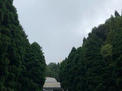 -井冈山革命烈士陵园