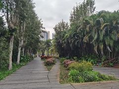 -中澳友谊花园
