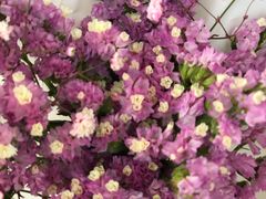 -那些花儿鲜花店(小寨店)