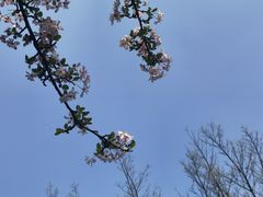 -重庆平顶山公园