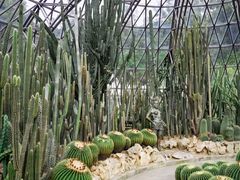 -深圳仙湖植物园