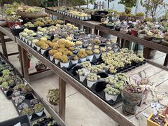 -禾气食店