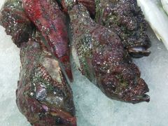 -清水湾3号(东方小周海鲜店)