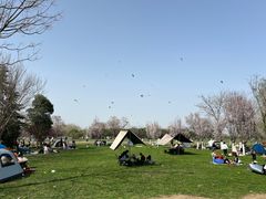 -汉长安城未央宫国家考古遗址公园