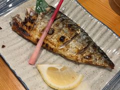 -晶吉·居酒屋·烧鸟·生鱼饭(中山区民主广场店)