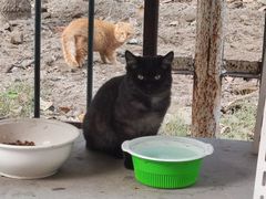 -萌兽医馆·犬猫专科·眼科中心·宠物医院(朝阳门分院)