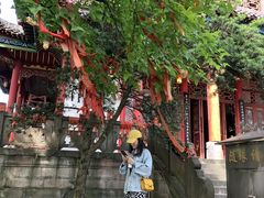 -常德桃花源景区