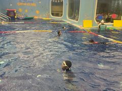 -龙格亲子游泳俱乐部(常熟中心店)