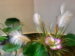 -荷塘秋月·本帮江浙菜(国权路店)