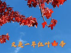 -哈工程图书馆