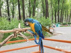 -北京野生动物园