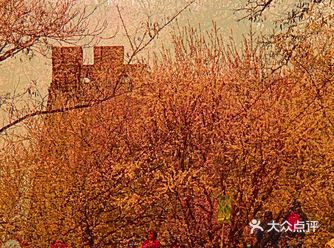 京城又迎新春来，处处开启春模式