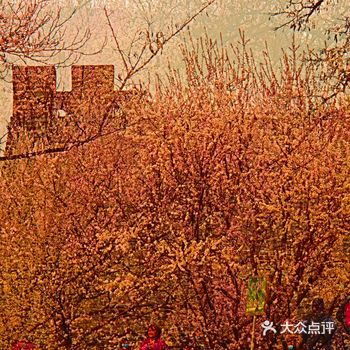 京城又迎新春来,处处开启春模式