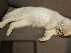 -MIKAKU(万达广场上海宝山店)