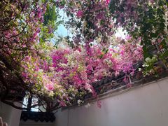 -深圳国际园林花卉博览园