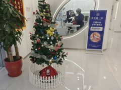 -皓齿连锁·雅贝健口腔·种植·矫正中心(虹口曲阳路店)
