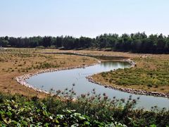 内景-北京麋鹿生态实验中心
