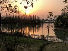 -艾溪湖湿地公园