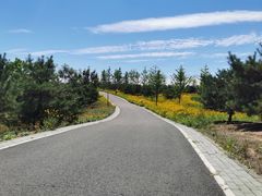 -东郊湿地公园