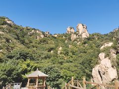 -大岭沟猕猴桃谷风景区