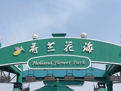 -荷兰花海