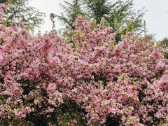 -城市运动公园(未央区)