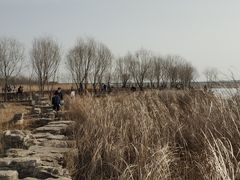 -绿堤公园