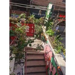 -匿名者纹身学院派·刺青