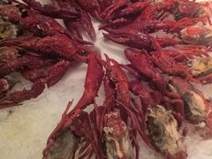 -红盔甲·小龙虾(天钥桥店)