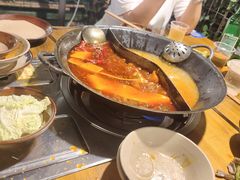 -阳阳老火锅(小南门店)