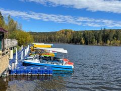 -五营红松林海景区