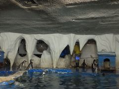 -太平洋海底世界