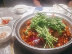 -禄婶鸡煲·打边炉