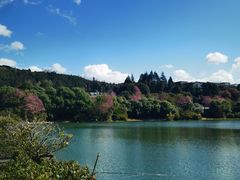 -和顺古镇