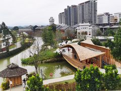 -江门古劳水乡旅游区