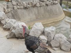 -森林公园(尖草坪区)