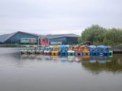 -上海长兴岛郊野公园