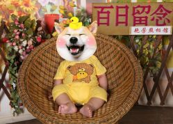 -艳芳照相馆