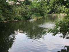 -西湖外事游船(花港观鱼码头)