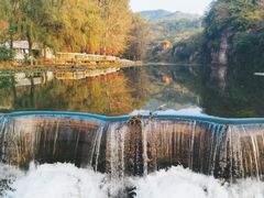 -紫海香堤香草艺术庄园