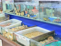 -张树军海鲜(王府壹号店)