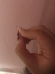 -晨·艺美甲美睫