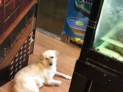 -元氏钵仔糕(北京路店)