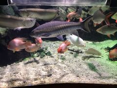 -太平洋海底世界