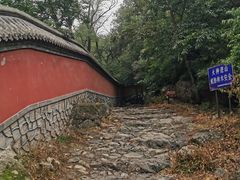 -阳台山自然风景区