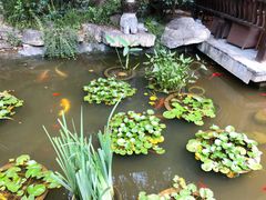 -聚缘堂·海鲜私房菜(松岭路店)