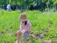 -前小桔亲子创意农场·草莓采摘·露营烧烤