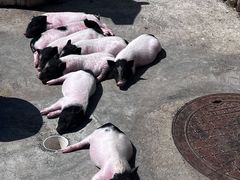 -水上乐园·欢乐世界